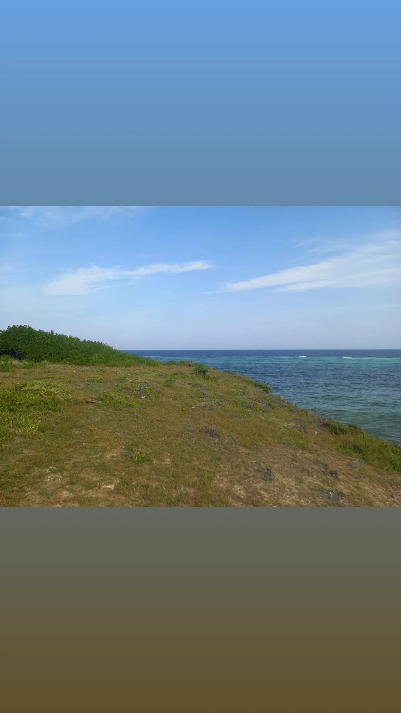 PINGILIKANI PLOTS FOR SALE – OWN YOUR PIECE OF PARADISE!